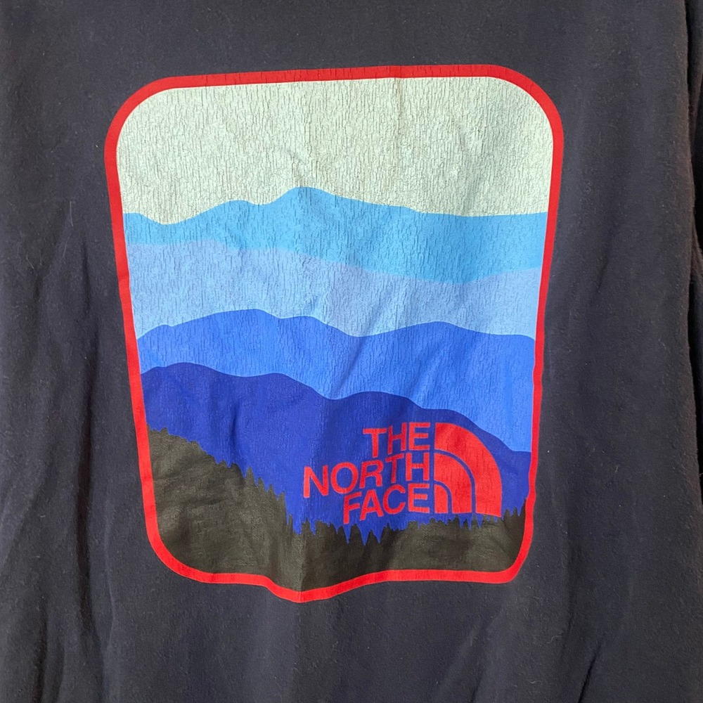 FLAW The North Face Hoodie Mens M Navy Blue Red Logo Mountain Graphic Pullover - Picture 6 of 8